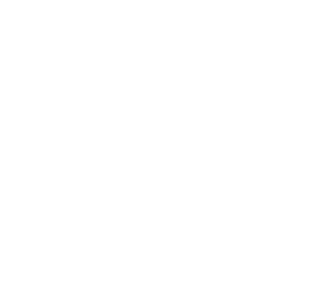 AF DESIGNS - Wollongong Graphic Design, Website Design & SEO - af logo white 1